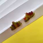 20240215 220630 small