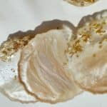 20240904 151337 scaled small