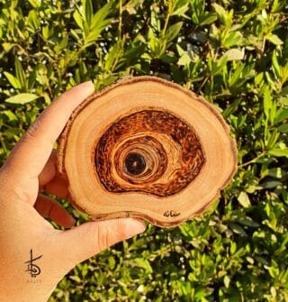 Hand-Burned Mug Coaster Tree Slice
