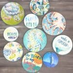 IMG 2150 scaled small