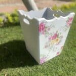 IMG 2465 scaled small