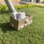 IMG 4688 scaled small