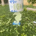 IMG 5303 scaled small