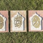 IMG 7817 scaled small