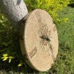 IMG 8664 scaled small