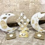 IMG 9868 scaled small