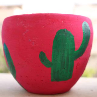 Green Cactus with hot pink base Pottery Pot