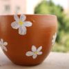 Brown in White Pottery Pot