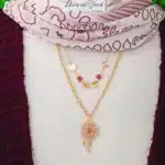 IMG 20240106 212749 798 small