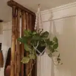 IMG 20240730 131938 895 small