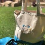 IMG 2405 scaled small