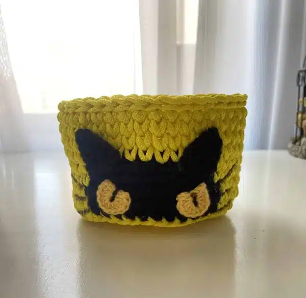 Cat basket