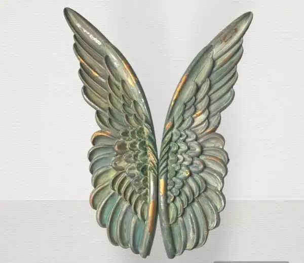 Decoration wings