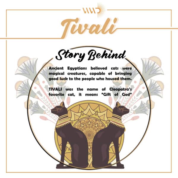 TIVALI STORY BEHIND scaled