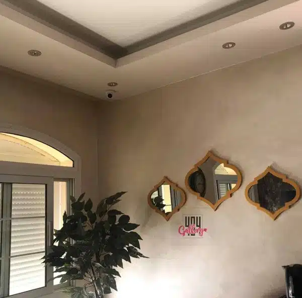 Single mirror