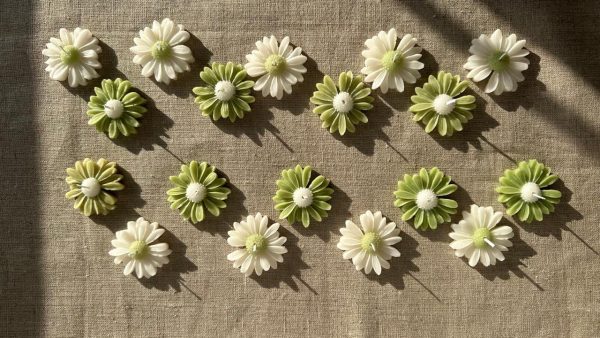 20 Daisy flowers mini favours