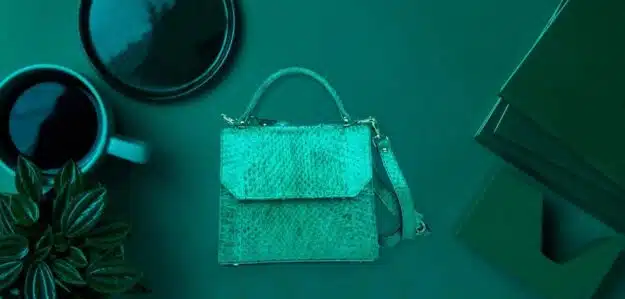 cropped C81971B8 8D8D 49BB 8EBB B0C355F0F0E2