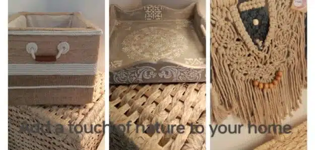 cropped IMG 20240218 115257 scaled 1