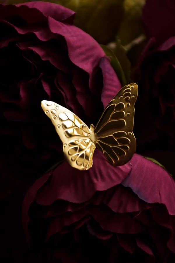 Butterfly ring 2