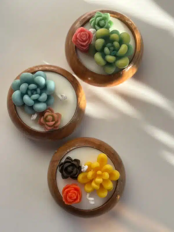 Cactus Wooden Pots