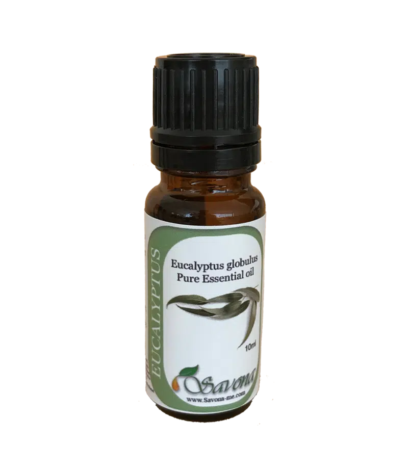 Eucalyptus Essential Oil 1 Eucalyptus Essential Oil