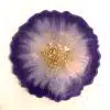 purple white flower