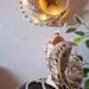 macrame Ramadan moon wall hanging