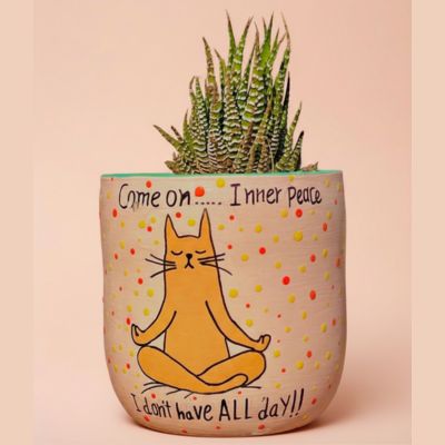 Yoga Cat Planter Pot 1 أصيص فخاري وردي فاتح عليه رسمة قطة تمارس التأمل مع نص فكاهي ونبات صبار.