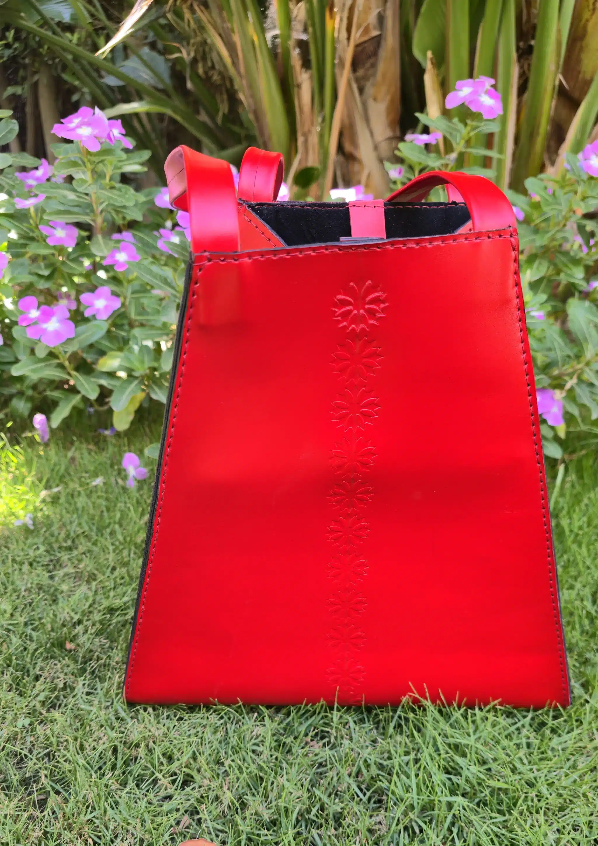 Bold Beautiful 2 20250529 141553 1 scaled