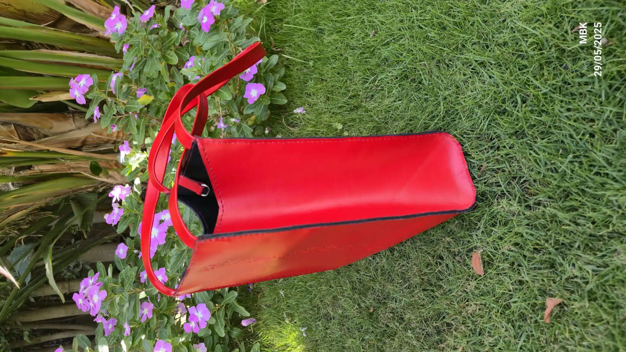 Bold Beautiful 3 20250529 141604 scaled