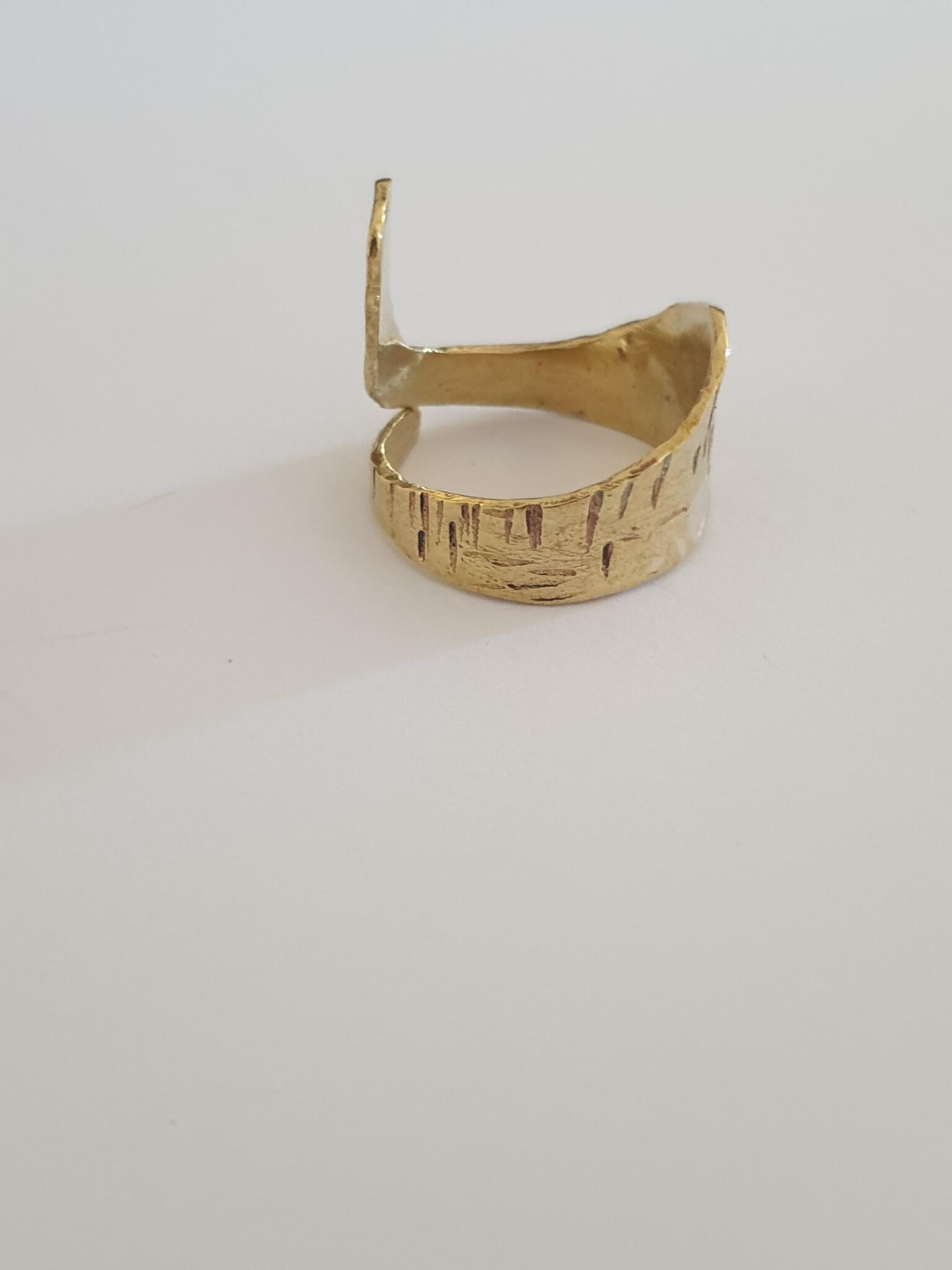 Cobra ring 2 20250912 131118 scaled