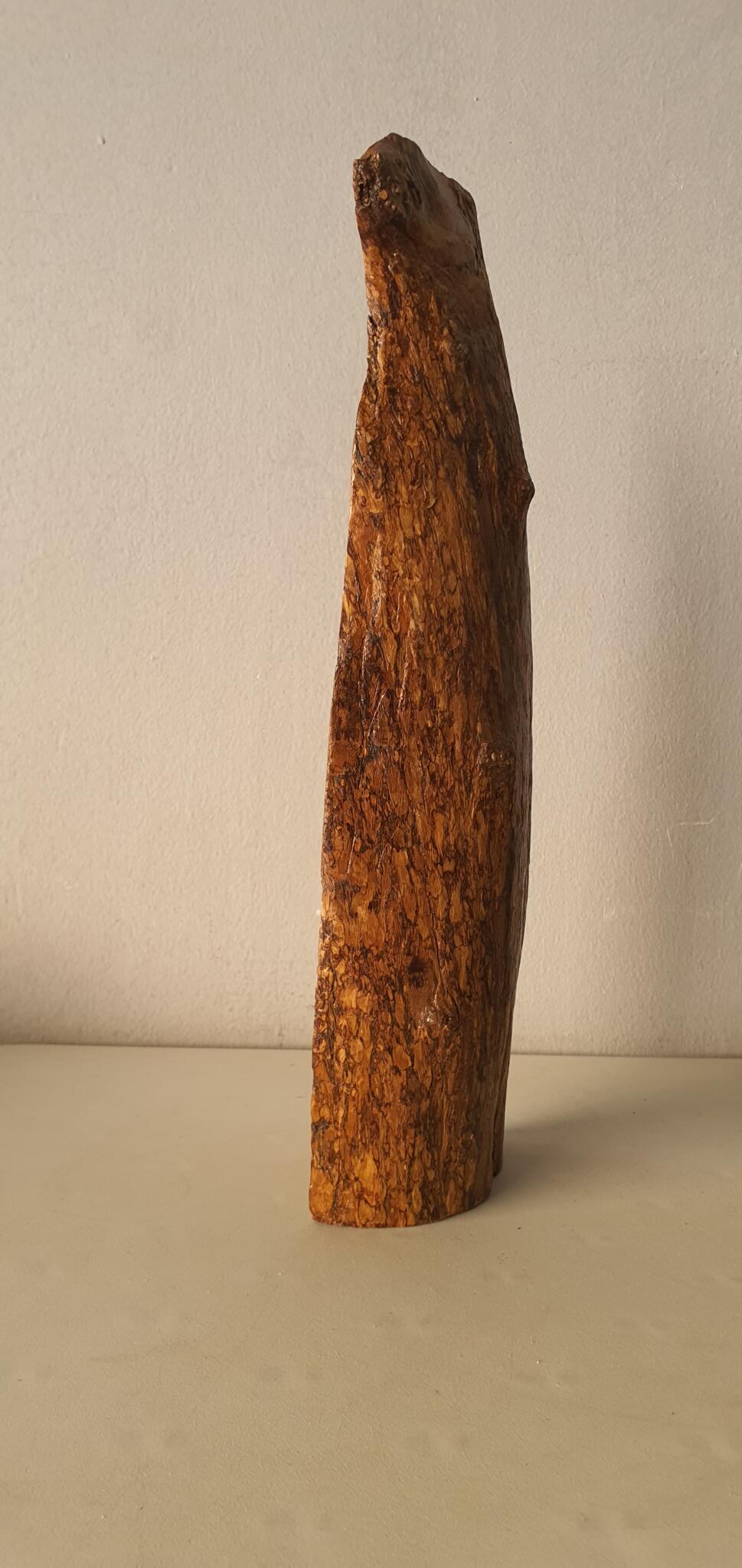 قل للذي ملأ التشاؤم قلبه - Olive Tree Log 4 خشب