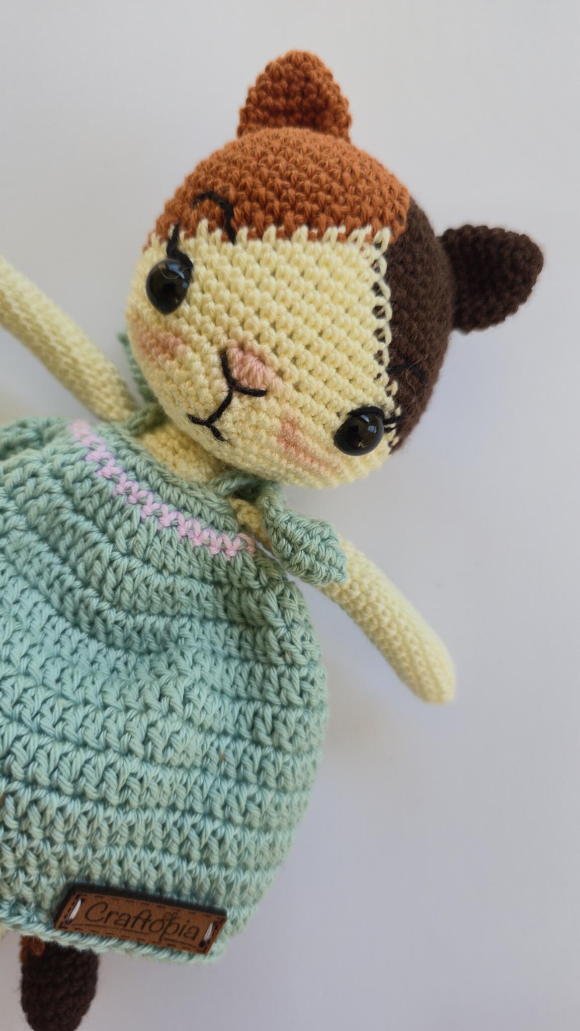 Cute cat with dress 1 Cute cat with dress