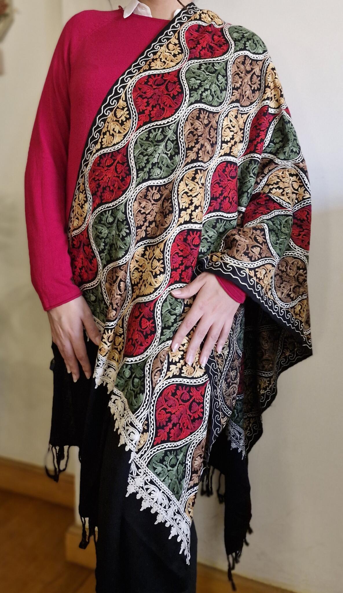 Indian shawl 3 20251110 161117 scaled