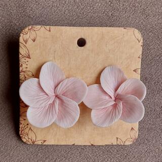 Home 128 20260104 113842