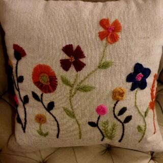 Cushion