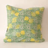 Lemon cushion