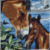 Mother and Foal: A Coastal Bond