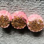 IMG 20251010 WA01713