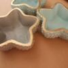 Sea star vessels