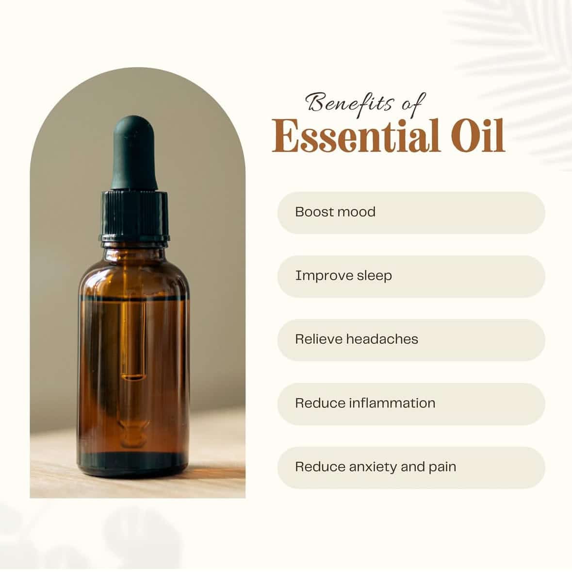 Essential oil 2 IMG 0109