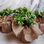 IMG 20231127 125327 143