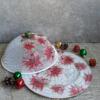 Glass plate with mesh cover