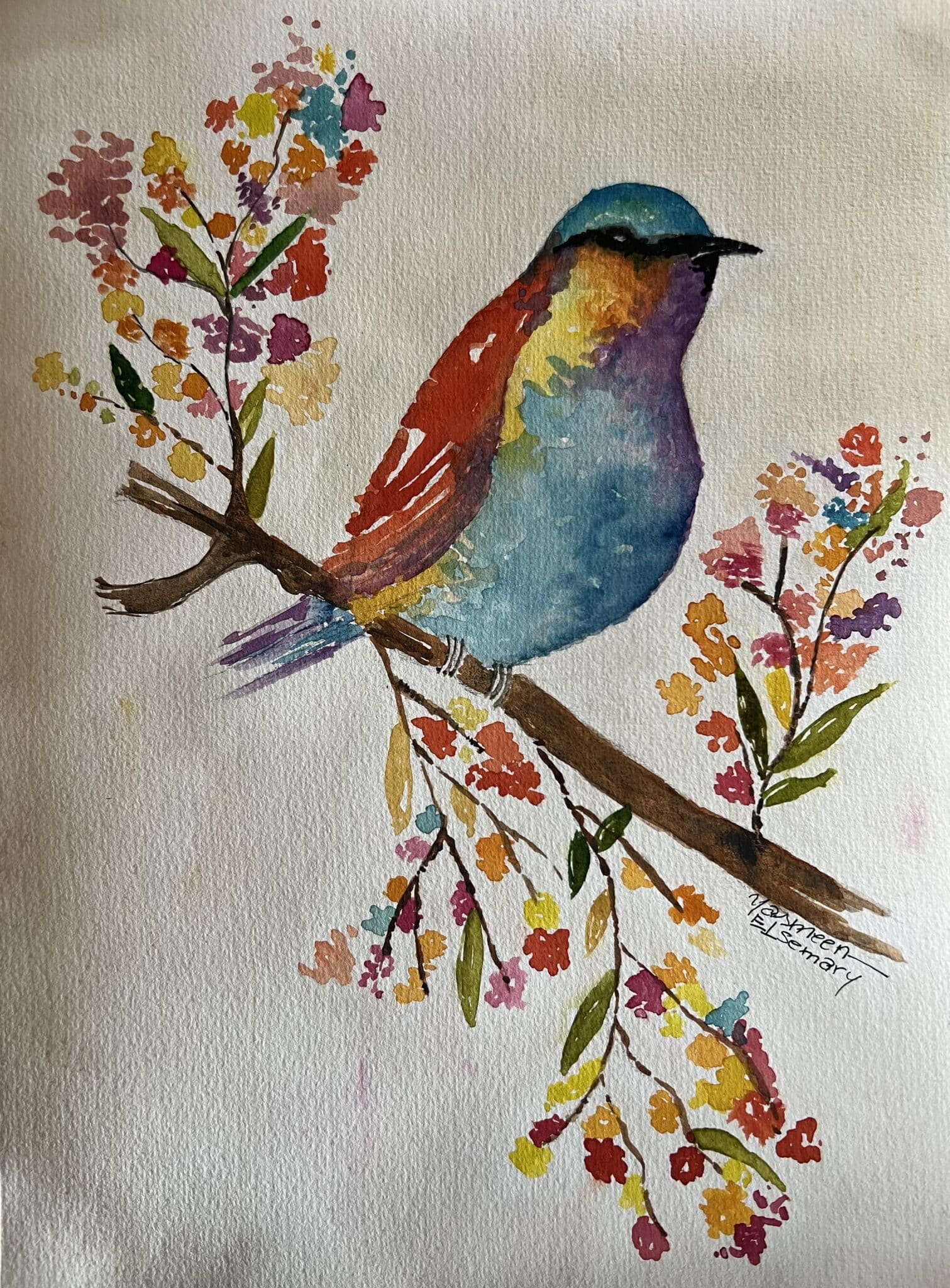 The friendly bird 1 The friendly bird