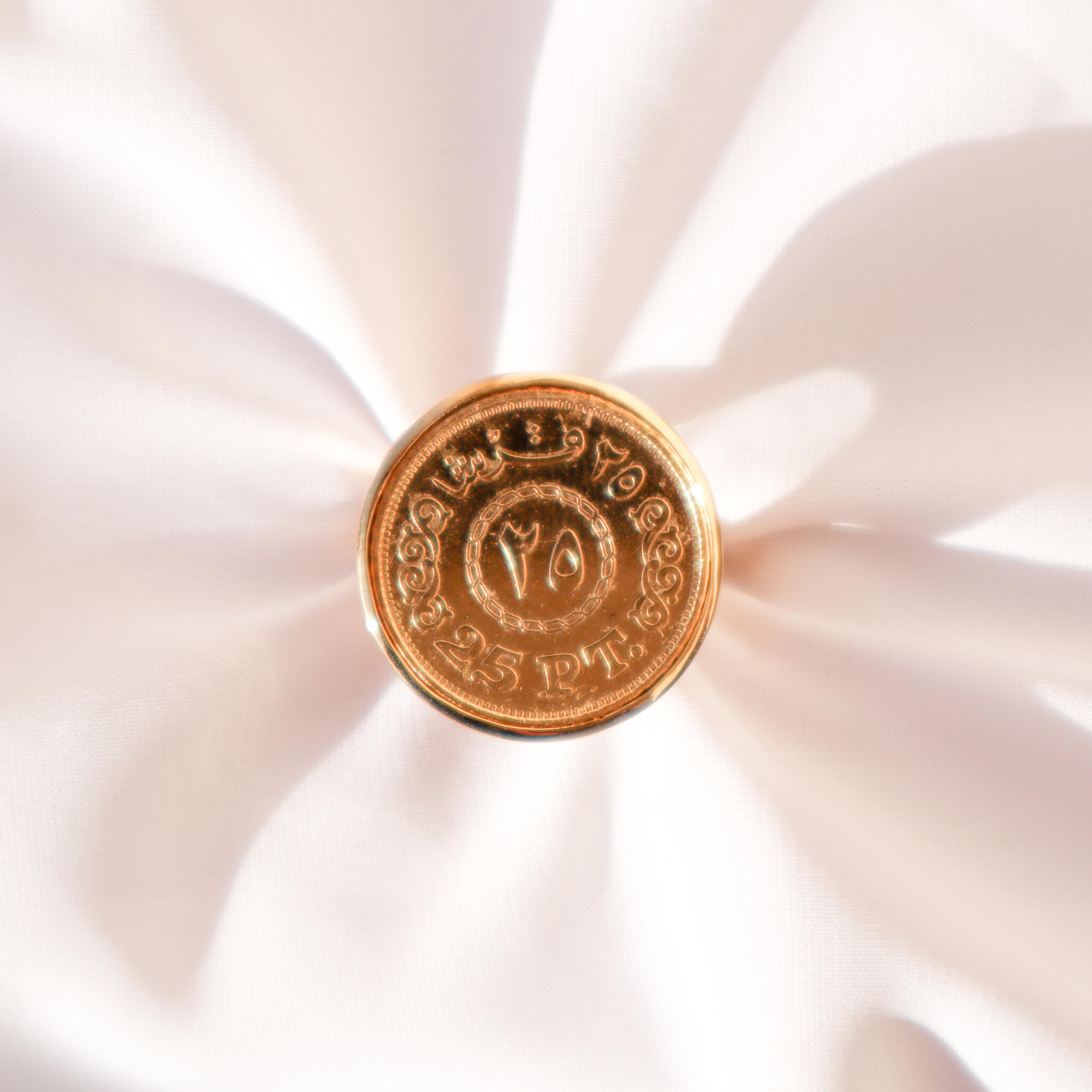 1/4 pound Ring 3 IMG 2637 scaled