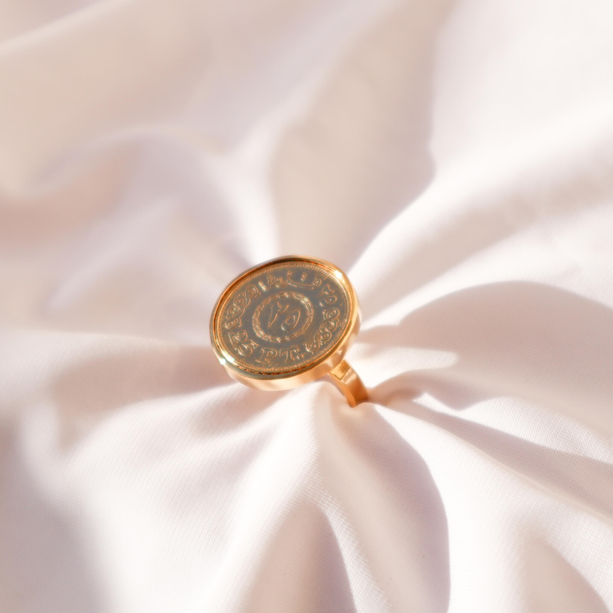 1/4 pound Ring 2 IMG 2639 scaled