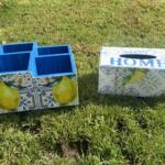Amalfi Lemon Cutlery Organizer Set