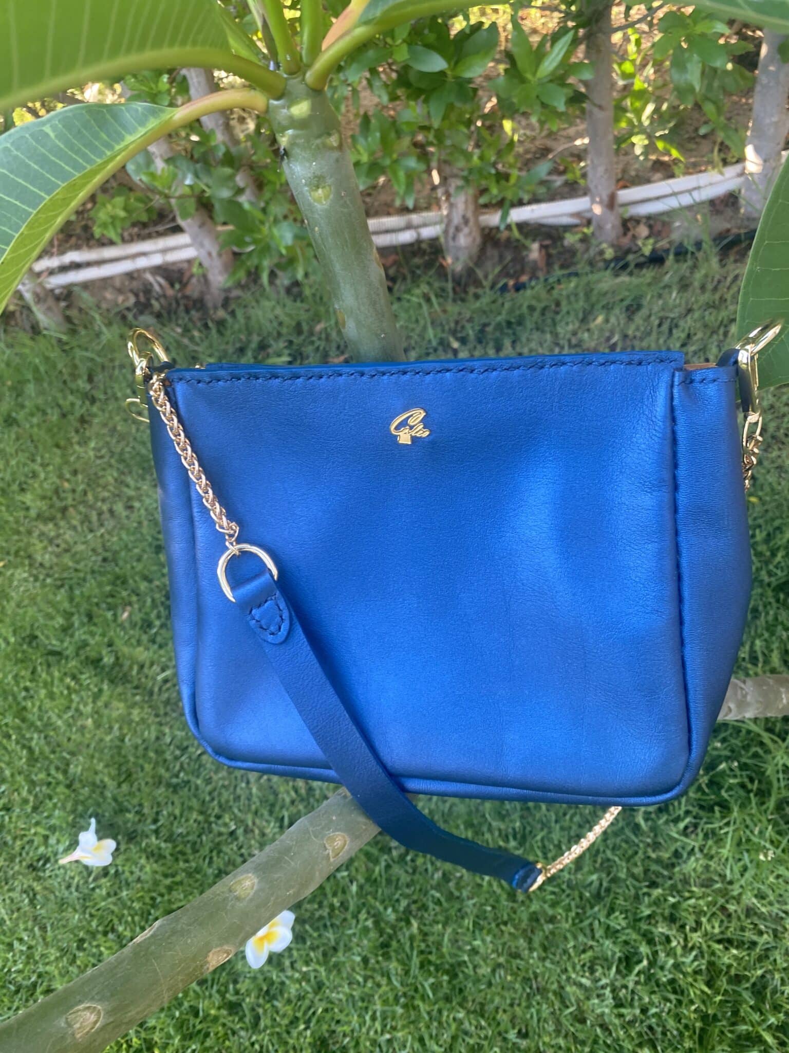 Bold,Bright and Beautiful 1 Bold,Bright and Beautiful