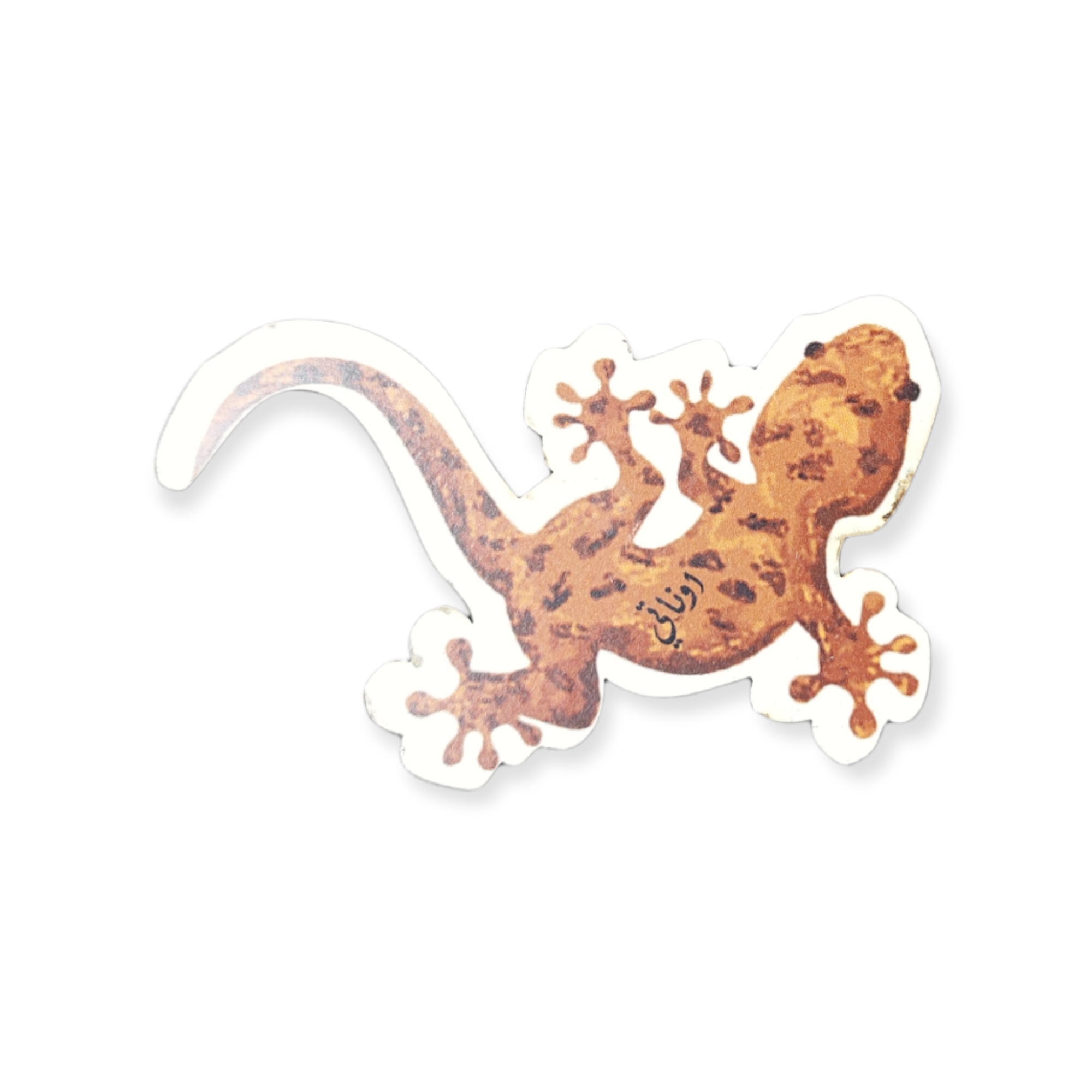 magnetic 10 PhotoRoom 20220308 091548