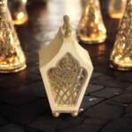 Photoroom 20260210 003355